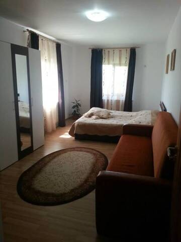 Фото номера Двухместный номер с 1 кроватью Гостевой дом Casa de vacanta Macovei0744 г. Половраджи 40