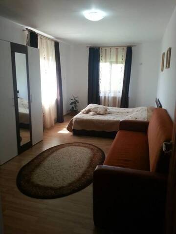 Фото номера Двухместный номер с 1 кроватью Гостевой дом Casa de vacanta Macovei0744 г. Половраджи 20