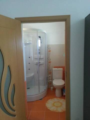 Фото номера Двухместный номер с 1 кроватью Гостевой дом Casa de vacanta Macovei0744 г. Половраджи 18