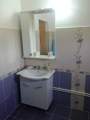 Фото номера Двухместный номер с 1 кроватью Гостевой дом Casa de vacanta Macovei0744 г. Половраджи 14
