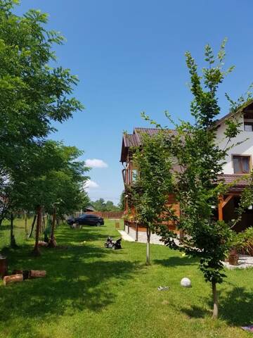 Фото номера Двухместный номер с 1 кроватью Гостевой дом Casa de vacanta Macovei0744 г. Половраджи 27
